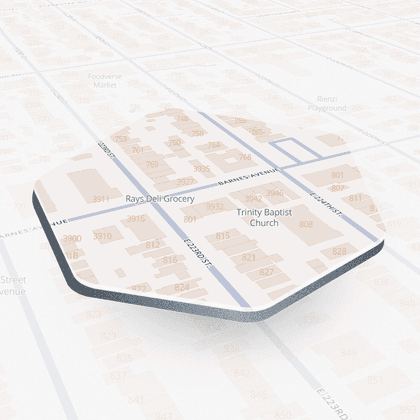 Barnes Avenue #5, New York