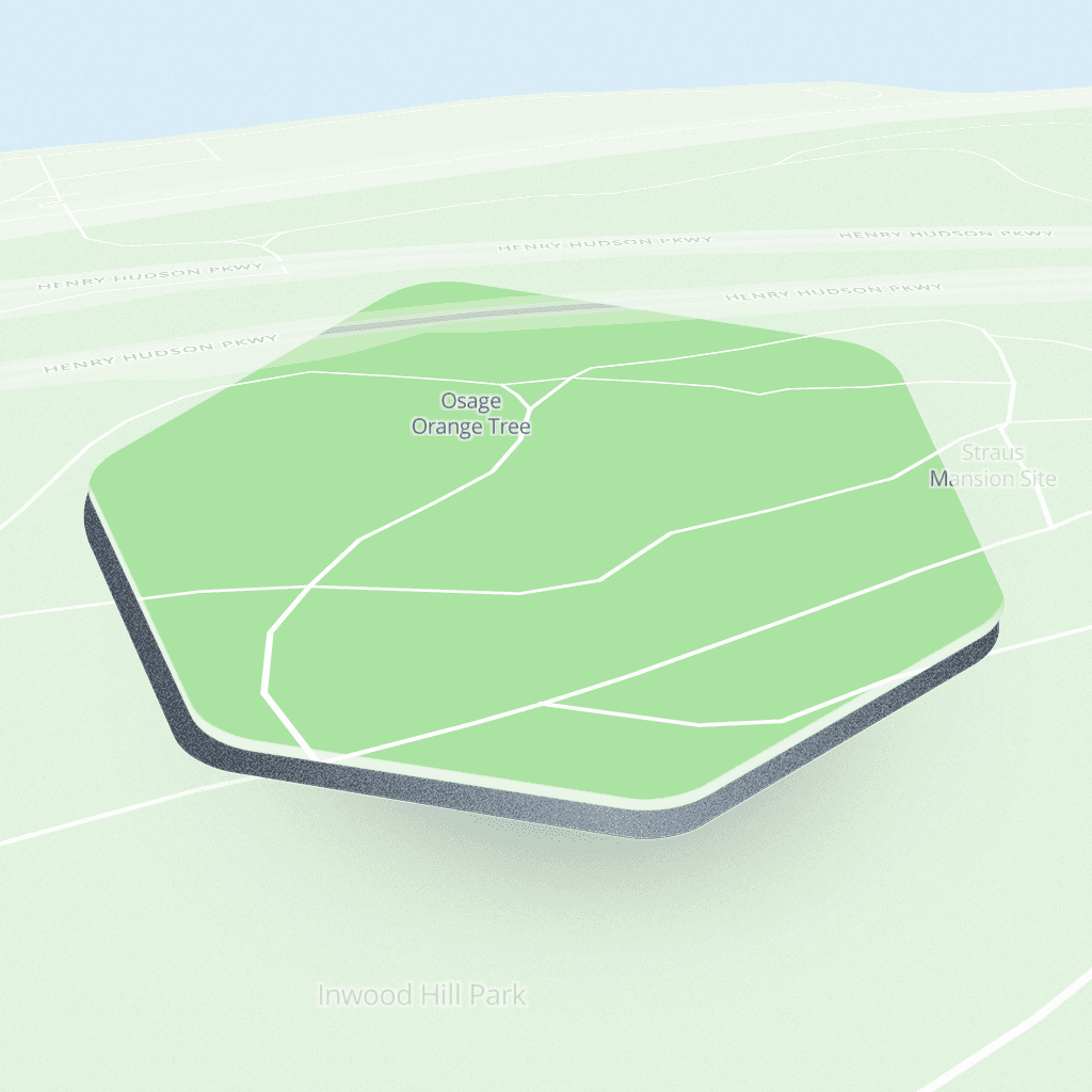 Henry Hudson Parkway #29, New York