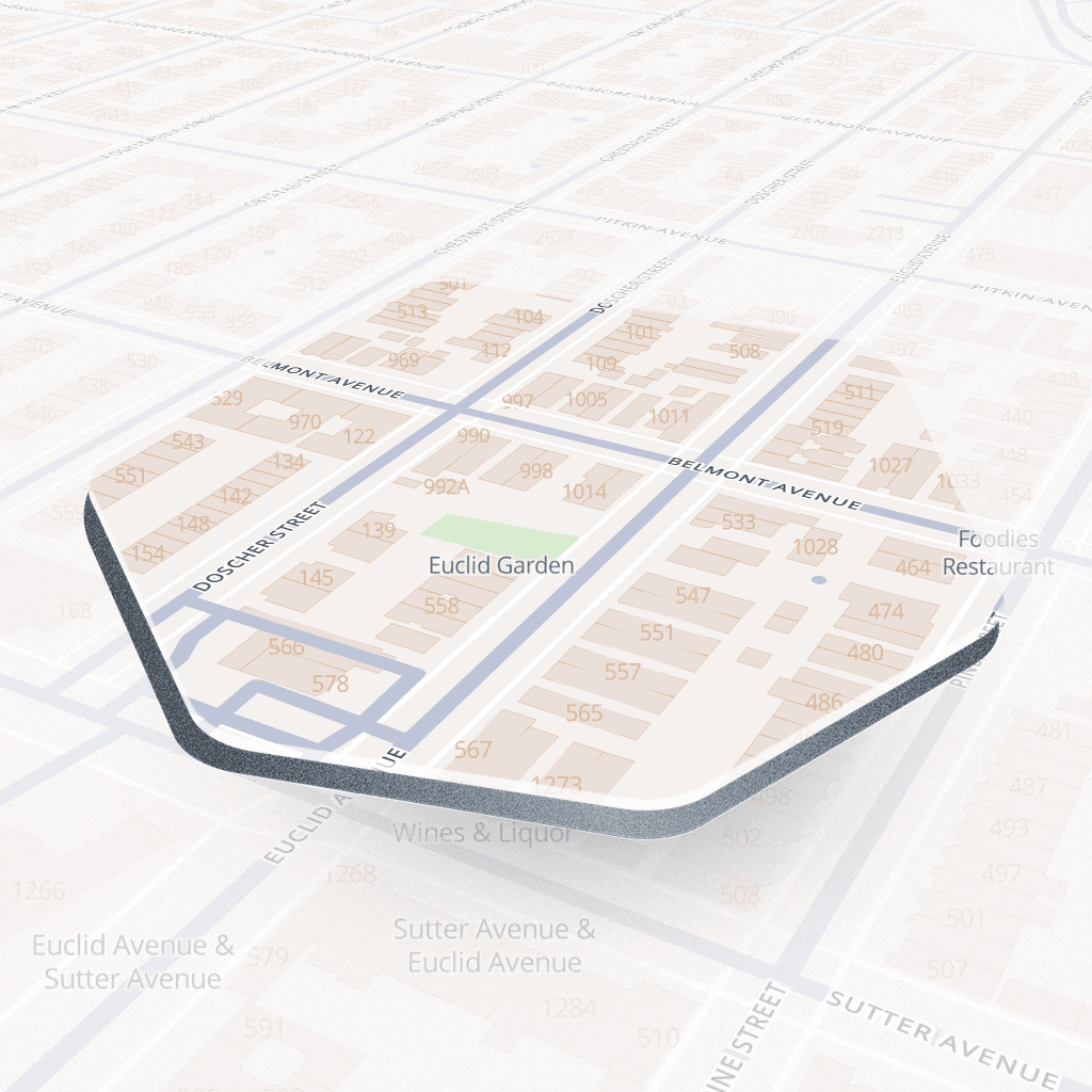 Euclid Avenue #3, New York