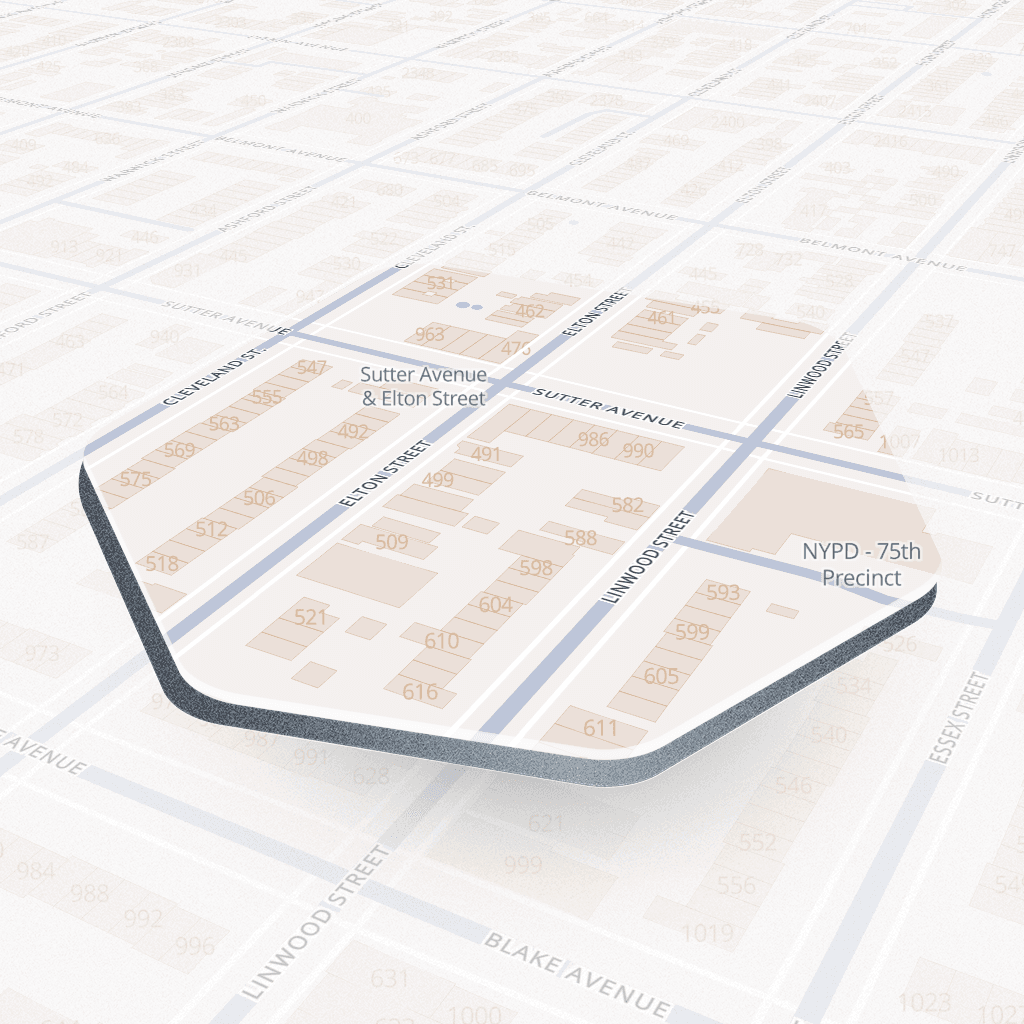 Linwood Street #1, New York