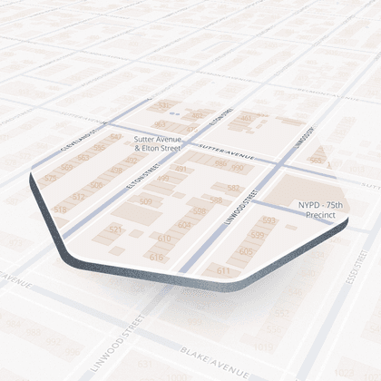 Linwood Street #1, New York