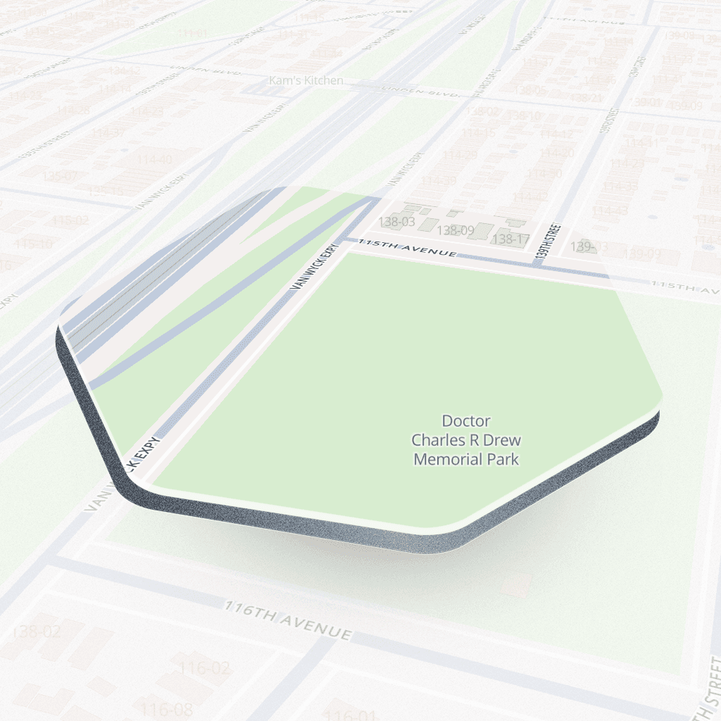 Van Wyck Expressway #5, New York