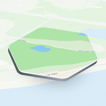 Wetland Trail #1, New York