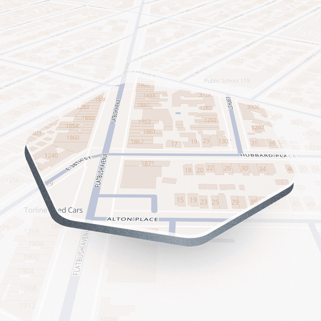 Flatbush Avenue #10, New York