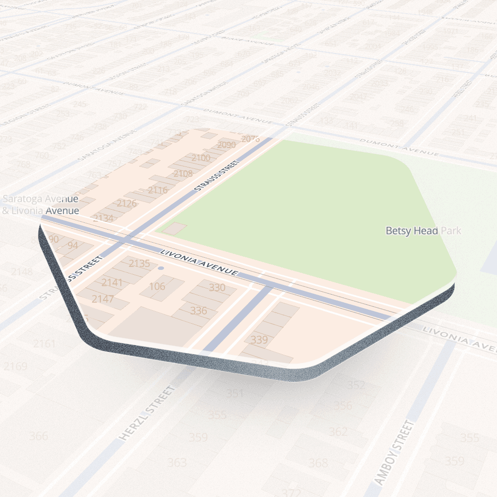 Dumont Avenue #2, New York