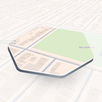 Dumont Avenue #2, New York