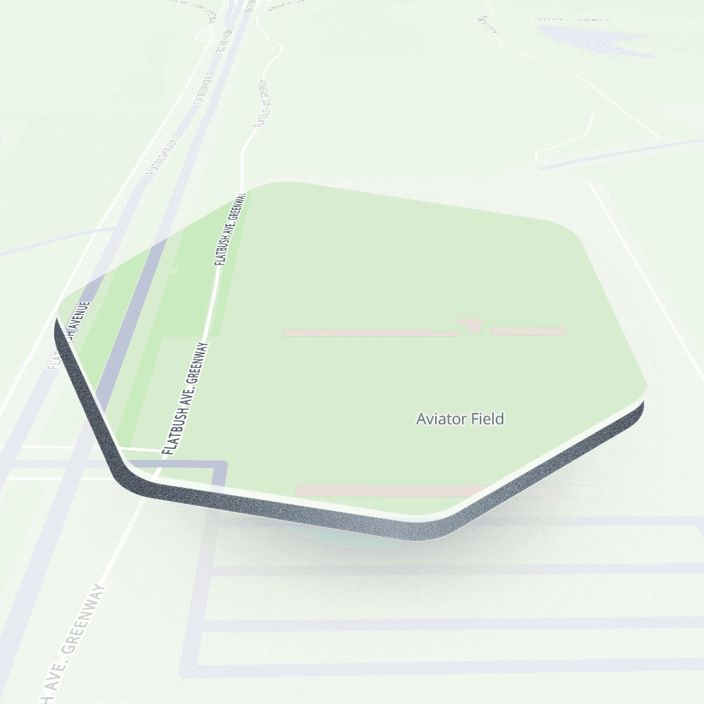 Flatbush Avenue Greenway #1, New York