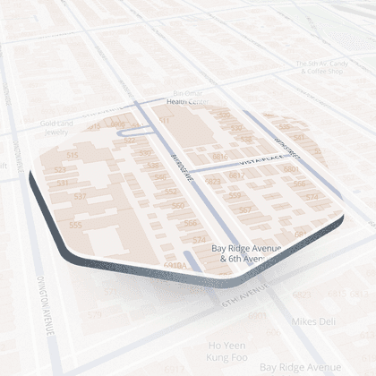 Bay Ridge Avenue #1, New York
